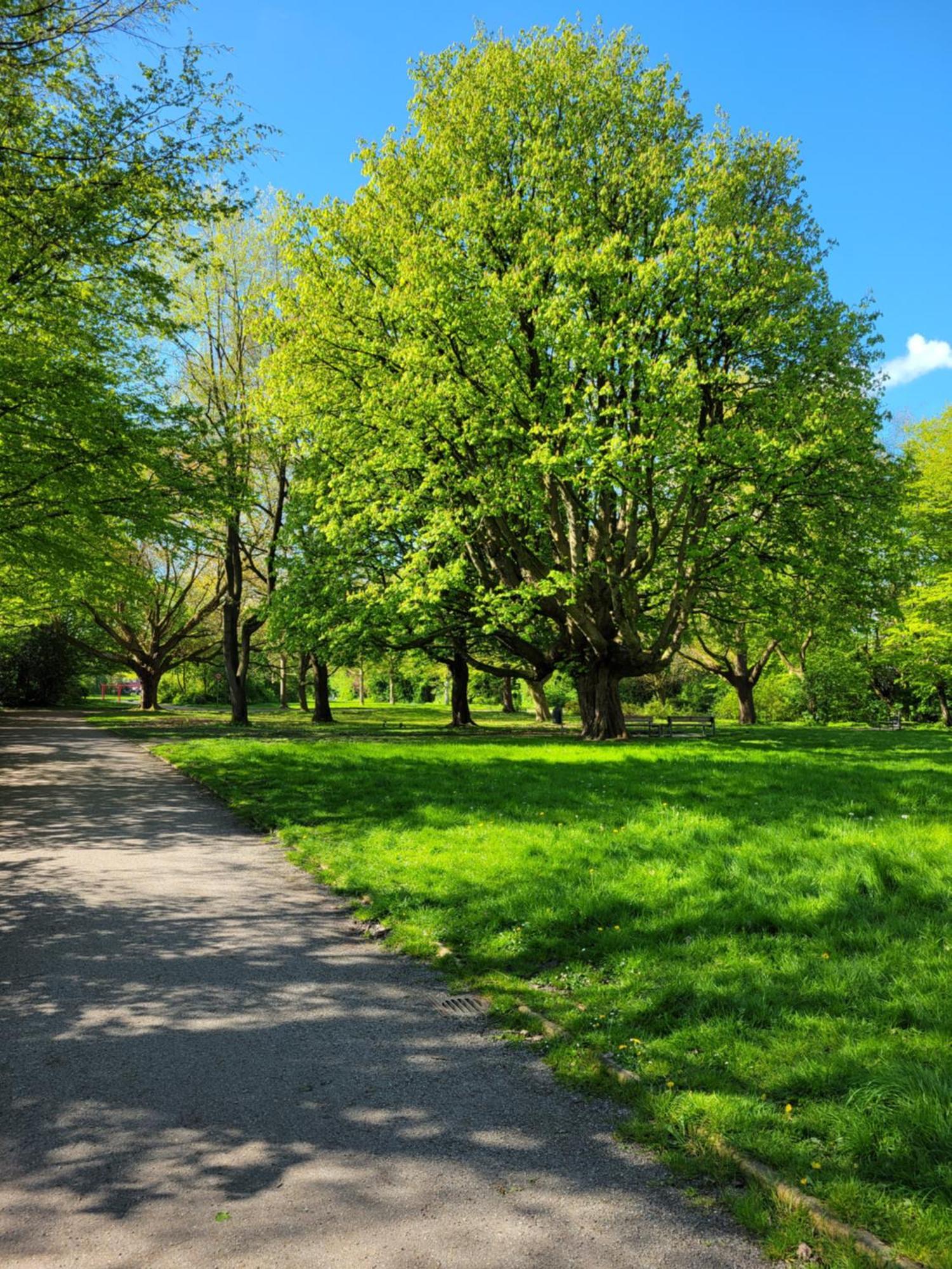 Ferienwohnungen Am Park Wilhelmshaven Exteriör bild