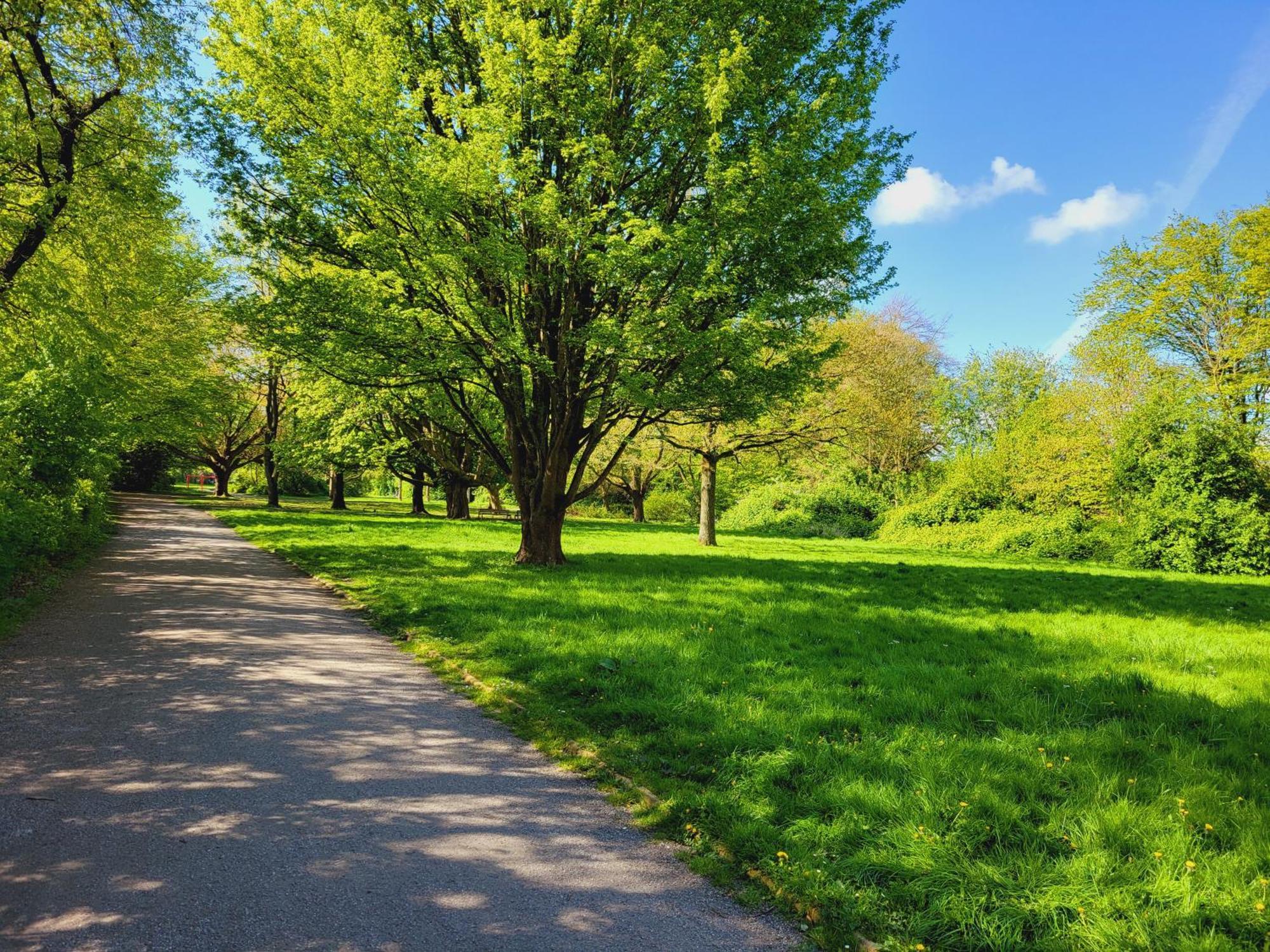 Ferienwohnungen Am Park Wilhelmshaven Exteriör bild