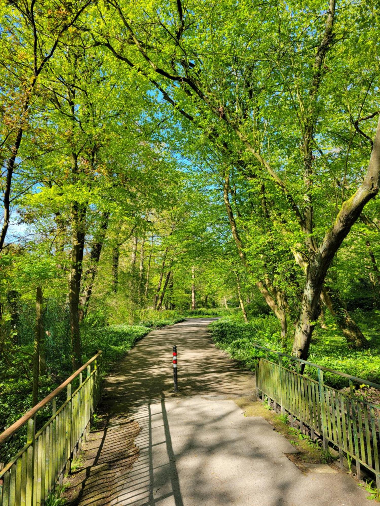 Ferienwohnungen Am Park Wilhelmshaven Exteriör bild