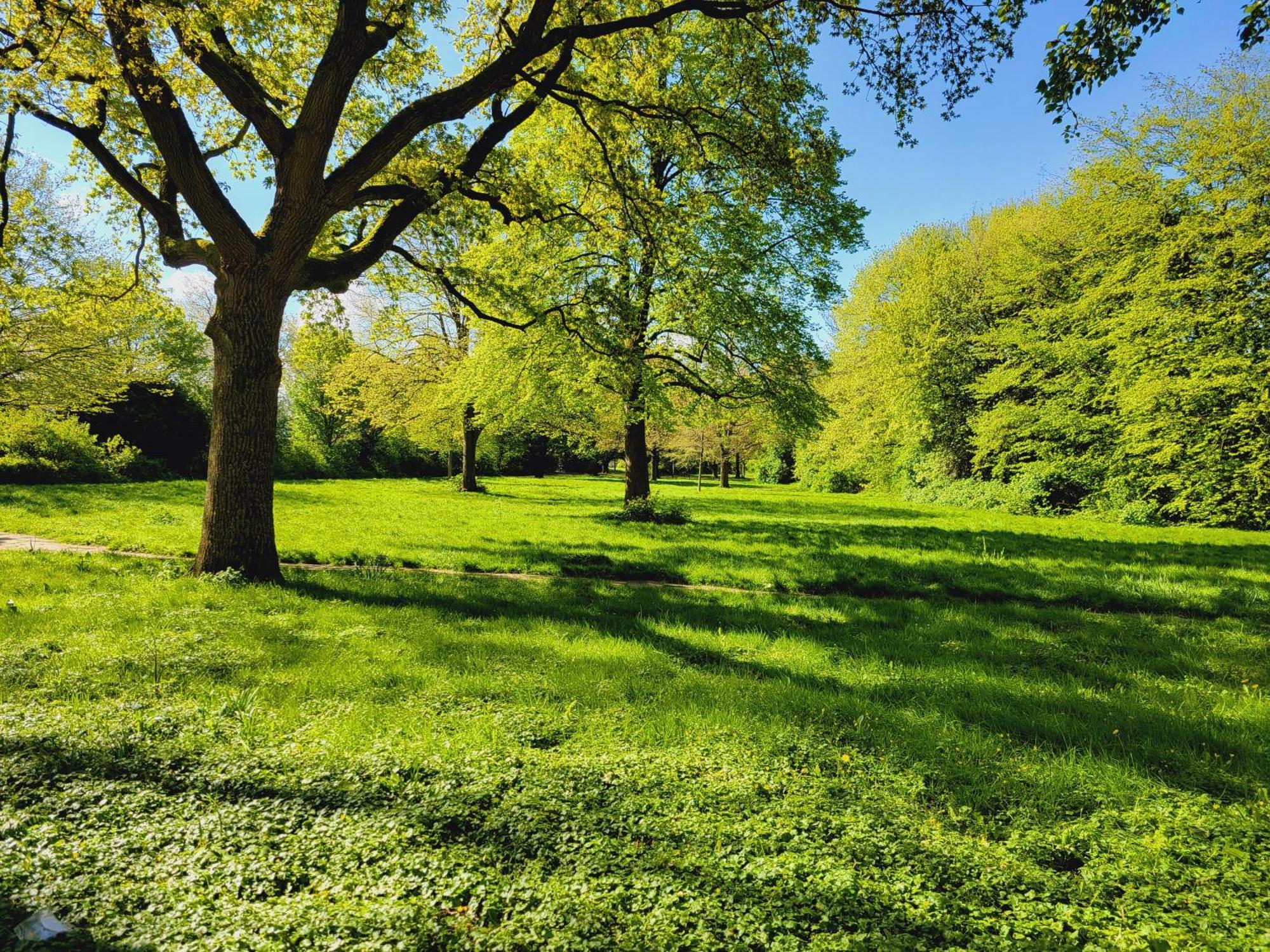 Ferienwohnungen Am Park Wilhelmshaven Exteriör bild